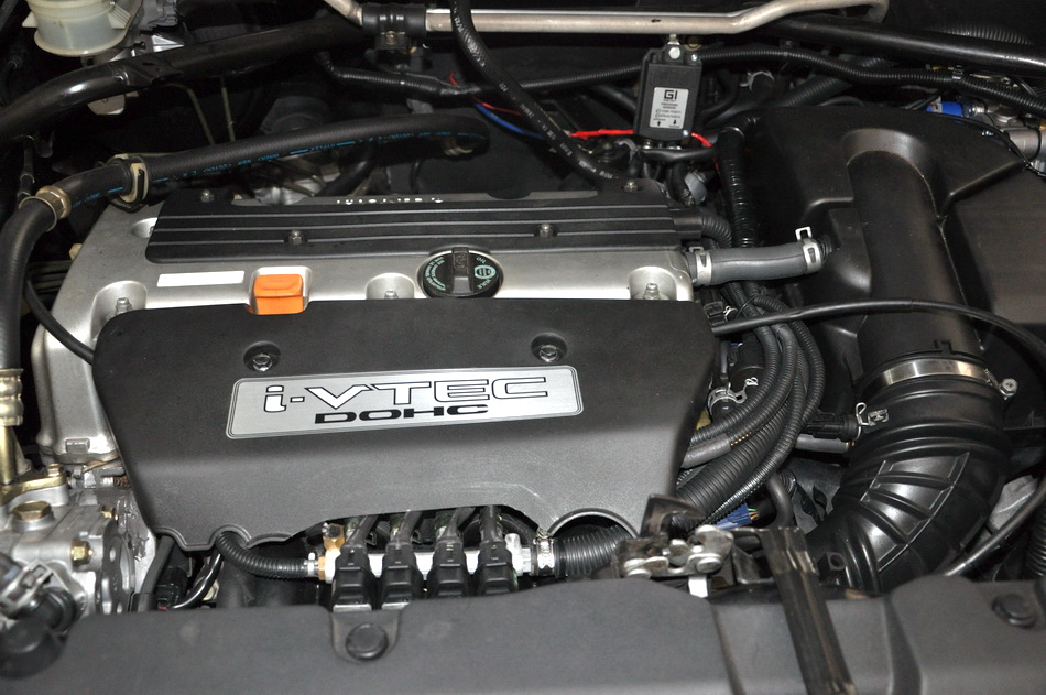 DSC_0178 r.jpg
